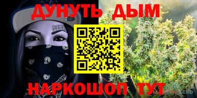 ГАЛЛЮЦИНОГЕННЫЕ ГРИБЫ Нальчик