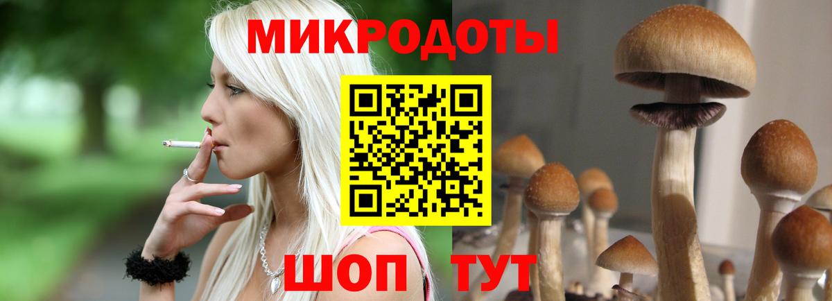 Псилоцибиновые грибы Psilocybine cubensis Среднеуральск